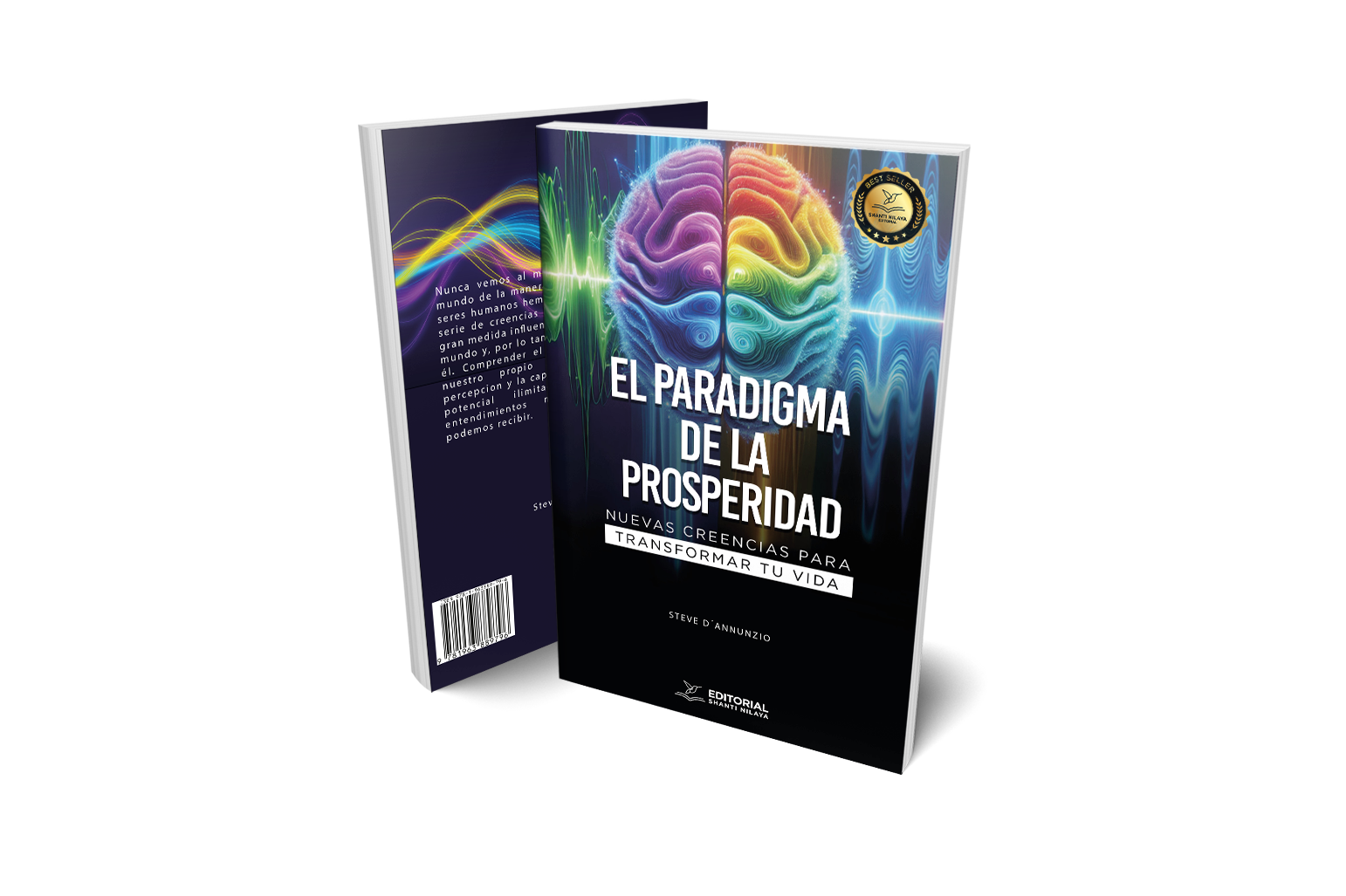 Imagen_portada_libro El paradigma