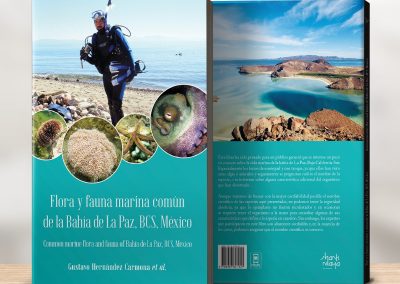 Flora y fauna marina común de la Bahía de La Paz, BCS, México